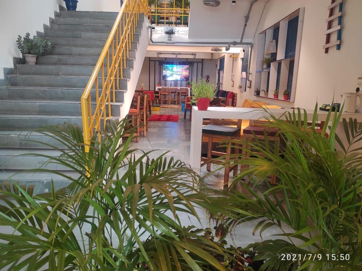 Home In The City Indira Nagar1 Dehradun 德拉敦 外观 照片